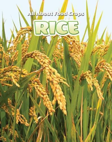 Cover image for Rice