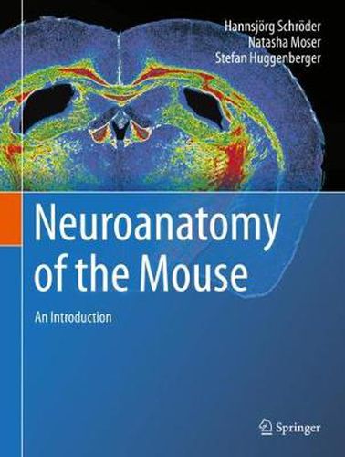 Cover image for Neuroanatomy of the Mouse: An Introduction