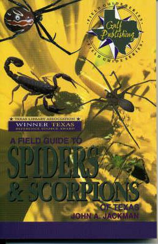 Cover image for A Field Guide to Spiders and Scorpions of Texas