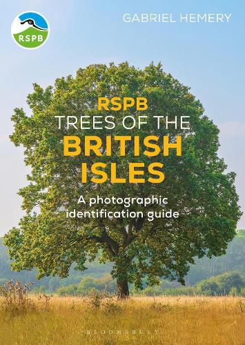 Cover image for RSPB Trees of the British Isles
