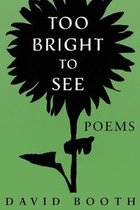 Cover image for Too Bright to See