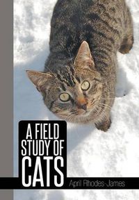 Cover image for A Field Study of Cats