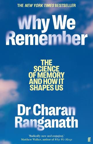 Cover image for Why We Remember
