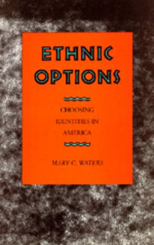 Cover image for Ethnic Options: Choosing Identities in America