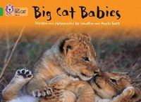 Cover image for Big Cat Babies: Band 05/Green