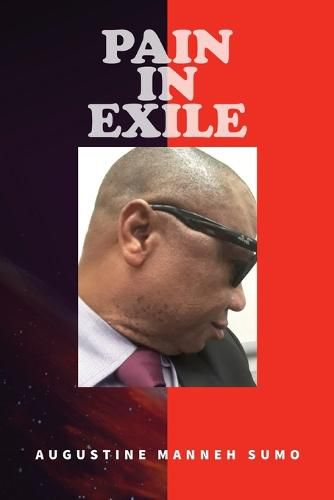 Cover image for Pain in Exile