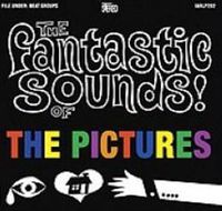 Cover image for Fantastic Sounds Of The Pictures