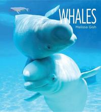 Cover image for Living Wild: Whales