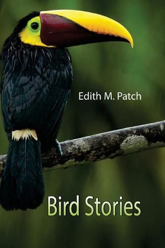 Bird Stories