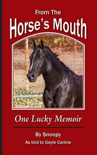 Cover image for From the Horse's Mouth: One Lucky Memoir