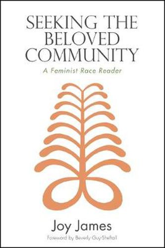 Seeking the Beloved Community: A Feminist Race Reader