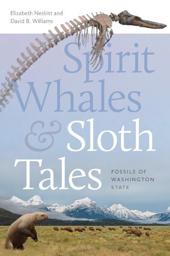 Cover image for Spirit Whales and Sloth Tales