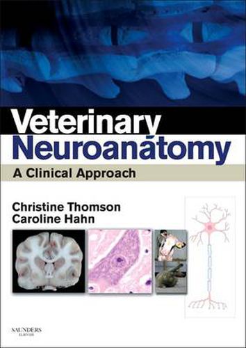 Cover image for Veterinary Neuroanatomy: A Clinical Approach