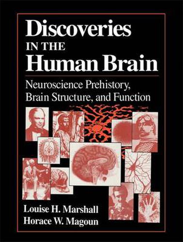 Discoveries in the Human Brain: Neuroscience Prehistory, Brain Structure, and Function