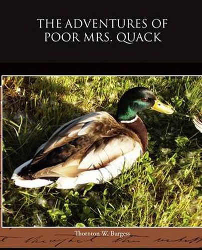 Cover image for The Adventures of Poor Mrs Quack