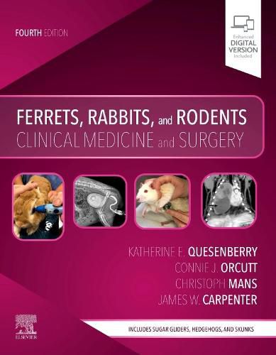 Cover image for Ferrets, Rabbits, and Rodents: Clinical Medicine and Surgery