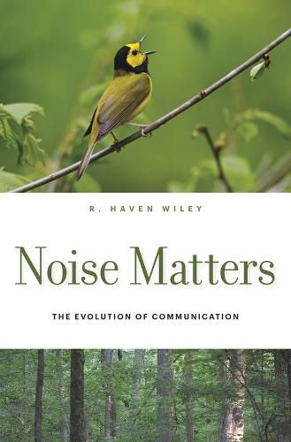 Cover image for Noise Matters: The Evolution of Communication