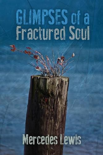 Cover image for Glimpses of a Fractured Soul