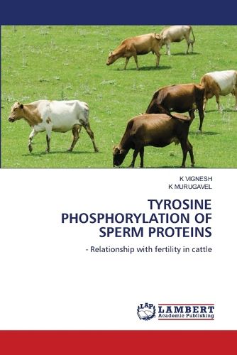 Cover image for Tyrosine Phosphorylation of Sperm Proteins