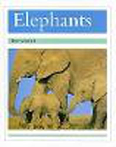 Cover image for Elephants: Individual Student Edition Turquoise (Levels 17-18)