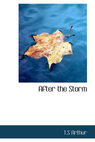 Cover image for After the Storm