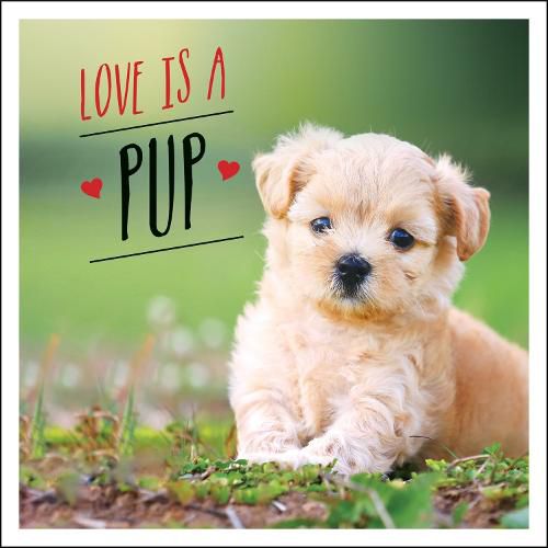 Cover image for Love is a Pup: A Dog-Tastic Celebration of the World's Cutest Puppies