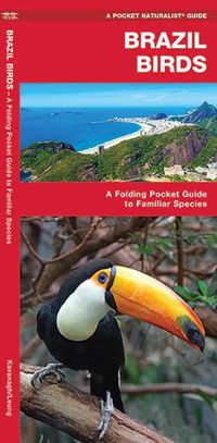 Cover image for Brazil Birds: A Folding Pocket Guide to Familiar Species