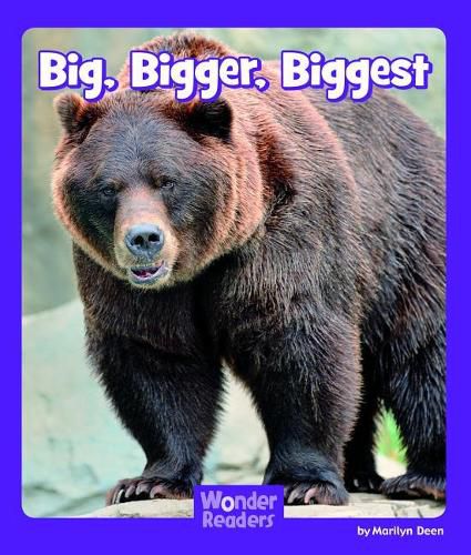 Cover image for Big, Bigger, Biggest