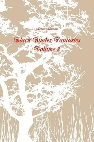 Cover image for Black Binder Fantasies Volume 2