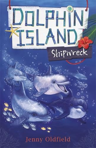 Cover image for Dolphin Island: Shipwreck: Book 1
