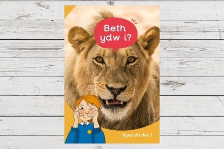 Cover image for Dyna Chi Dric: Beth Ydw I?