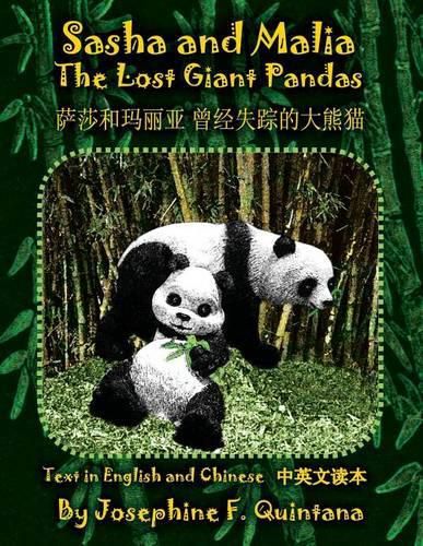 Cover image for Sasha and Malia, The Lost Giant Pandas