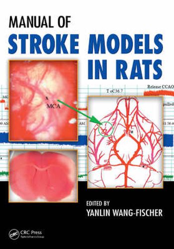 Cover image for Manual of Stroke Models in Rats
