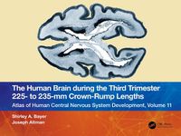 Cover image for The Human Brain during the Third Trimester 225- to 235-mm Crown-Rump Lengths