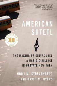 Cover image for American Shtetl