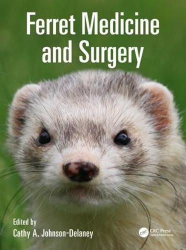 Cover image for Ferret Medicine and Surgery