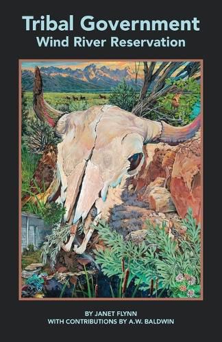 Cover image for Tribal Government