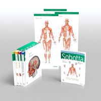 Cover image for Sobotta Atlas of Anatomy, Package, 17th ed., English/Latin