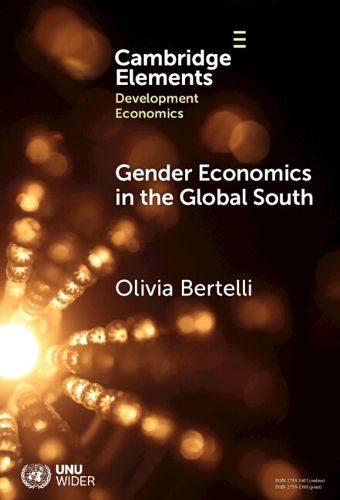 Cover image for Gender Economics in the Global South