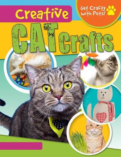 Creative Cat Crafts