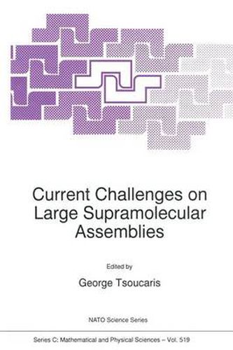 Cover image for Current Challenges on Large Supramolecular Assemblies