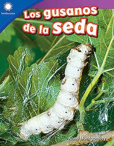 Cover image for Los gusanos de la seda (Raising Silkworms)