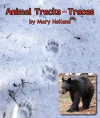 Cover image for Animal Tracks and Traces