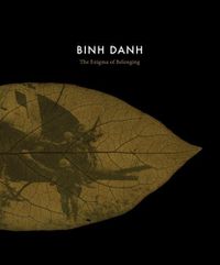 Cover image for Binh Danh: The Enigma of Belonging