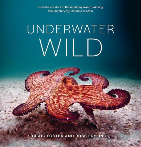 Underwater Wild: My Octopus Teacher's Extraordinary World