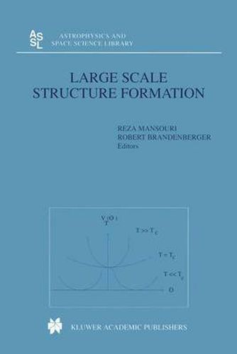Cover image for Large Scale Structure Formation