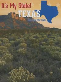 Cover image for Texas: The Lone Star State