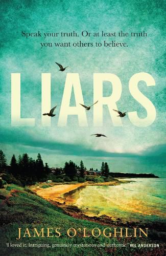 Cover image for Liars