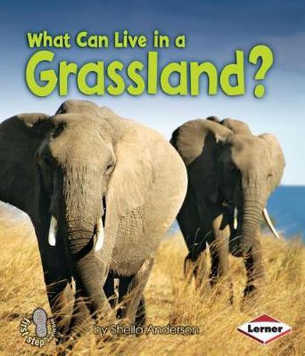 Cover image for What Can Live In A Grassland