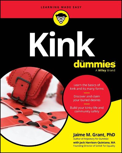 Cover image for Kink For Dummies